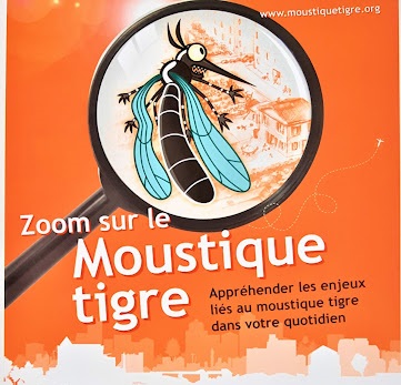 Conférence : Zoom sur le moustique tigre